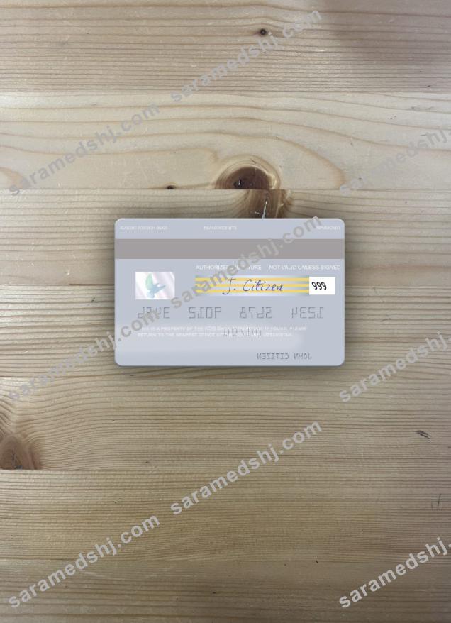 Uzbekistan KDB Bank visa debit card photolook back